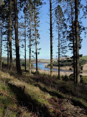  CCLYWEDOG LAKESIDE.jpg